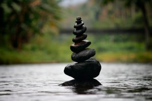 Yin – Yang, l&rsquo;équilibre que nous enseigne le Vivant