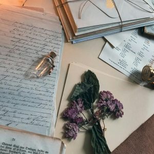 Féminin, masculin : l’alchimie du langage