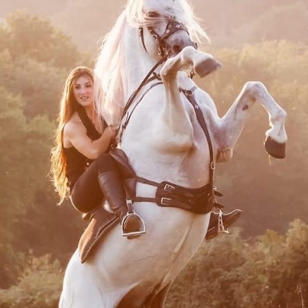 25ca17c0-3564-458d-951c-b5af0f1b0f46-2