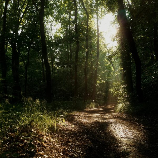 pexels-faceless-249159152-32504555